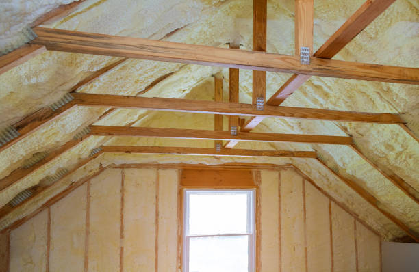 Best Specialized Insulation Services in Pecos, TX